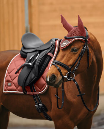 Collezioni per il cavallo