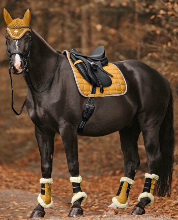 Cavallo