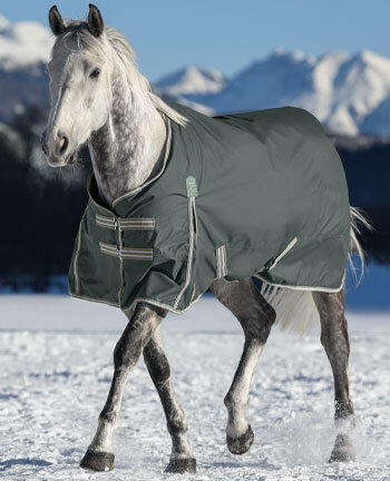 Coperte per cavalli