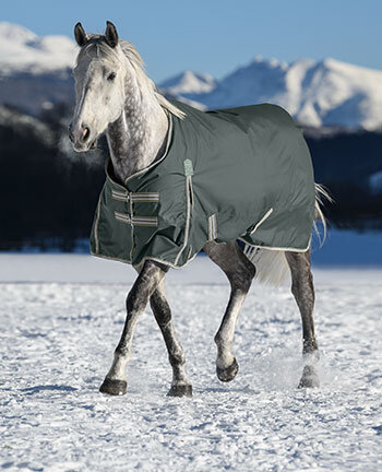 Coperte per cavalli