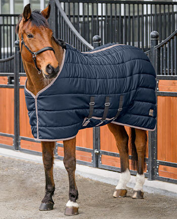 Coperte da box & trasporto