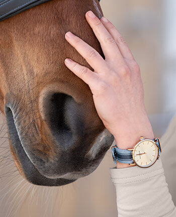 Gioielli & orologi