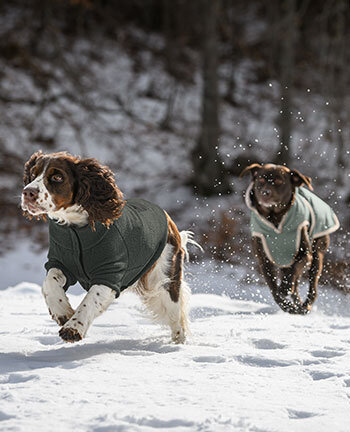 Cappotti & felpe per cani