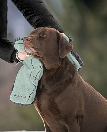 Cura del cane