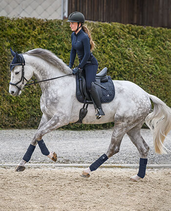 Sottosella pony