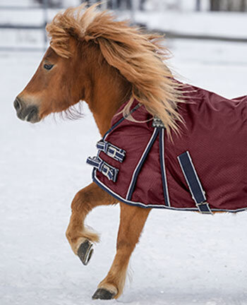 Coperte per pony & puledri