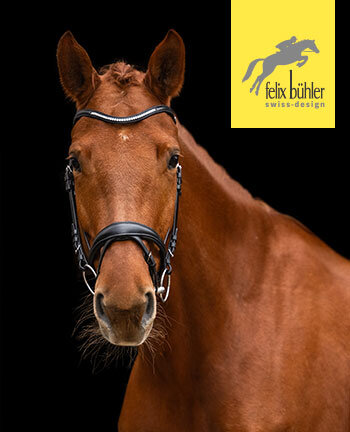 Felix Bhler testiera & accessori