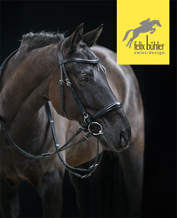 Felix Bhler testiera & accessori