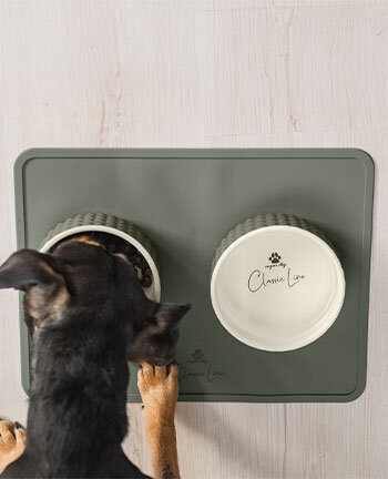 Ciotole per cani & accessori da viaggio