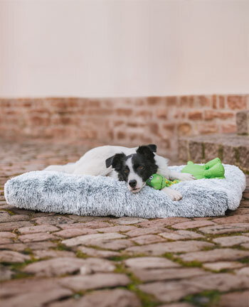 Cucce & cuscini per cani