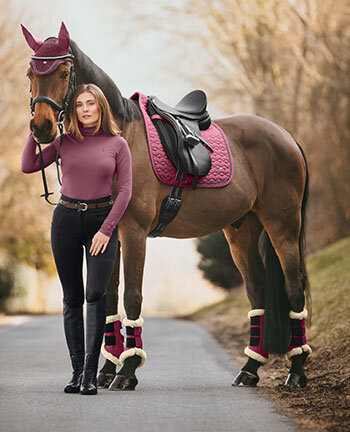 Cavallo