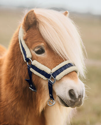 Capezze per pony & puledri
