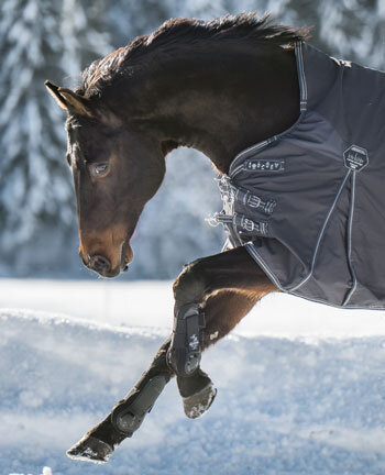 Coperte per cavalli