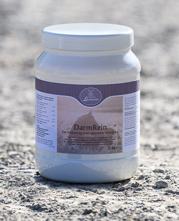 Digestione & metabolismo