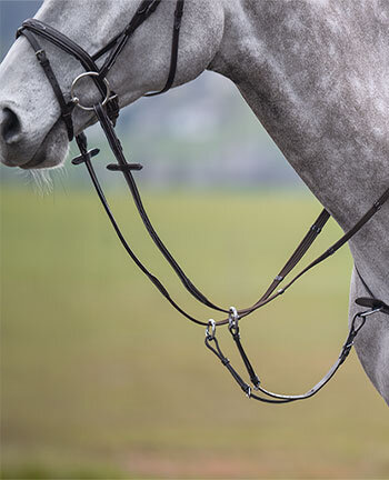 Pettorali & martingale