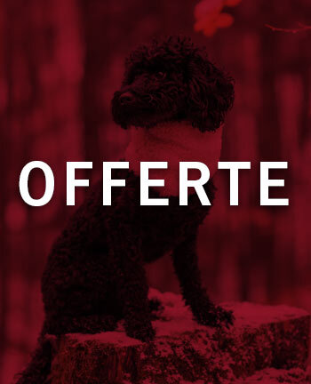 Accessori per cani