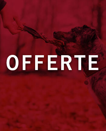 Alimentazione del cane