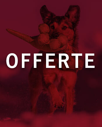 Training per cani