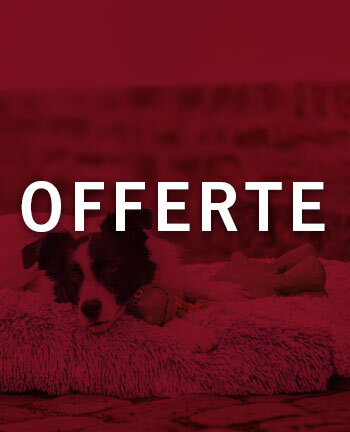 Cucce & cuscini per cani