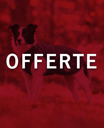 Cappotti & felpe per cani