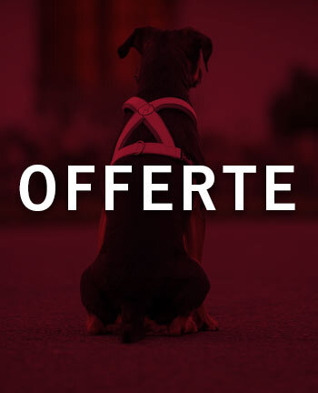 Articoli riflettenti per cani