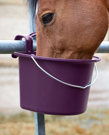 Attrezzatura per box & paddock