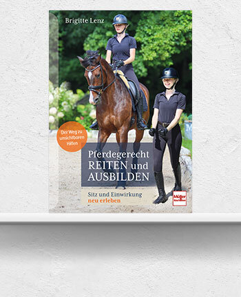 Dressage & training