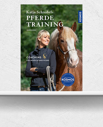 Gestione & comprensione del cavallo