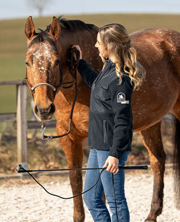 Horsemanship & lavoro da terra