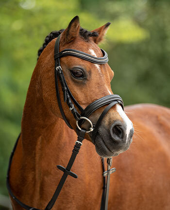 Testiere & imboccature pony