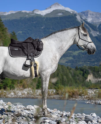 Selle da trekking & accessori