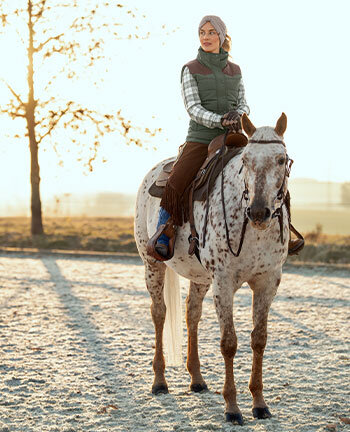 Monta western