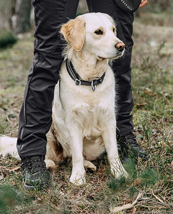 Pantaloni per proprietari di cani