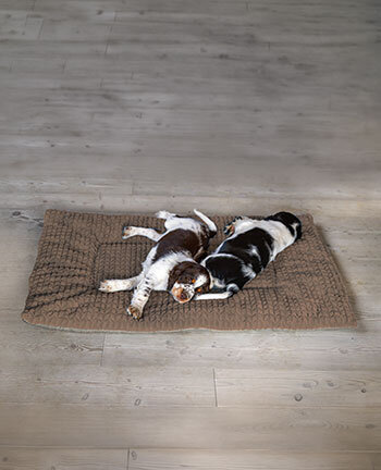 Cuscini per cani