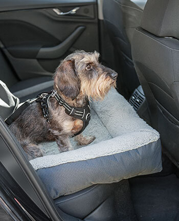 Accessori da viaggio per cani