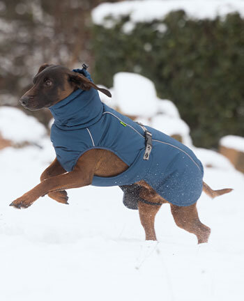 Cappotti invernali per cani
