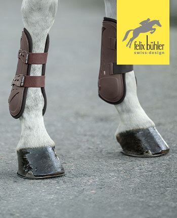 Felix B�hler fasce & stinchiere