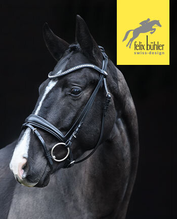 Felix B�hler testiera & accessori