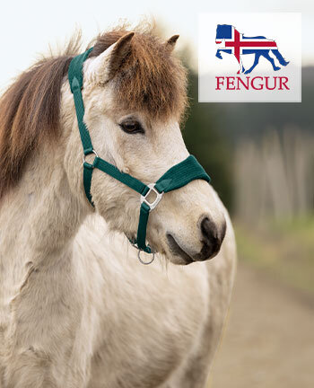 FENGUR accessori per cavalli