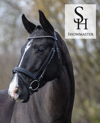 SHOWMASTER testiere & accessori