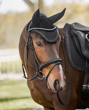 Cavallo