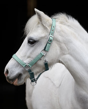 Capezze per pony & puledri