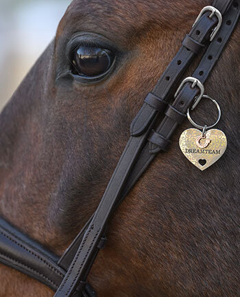 Accessori per testiere