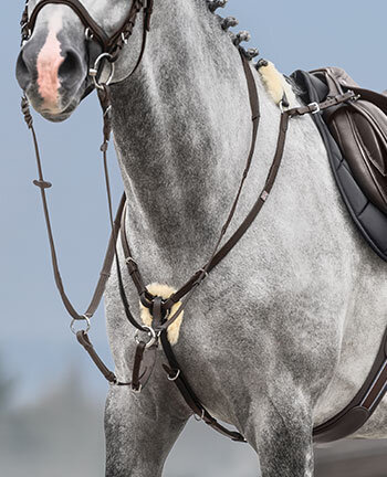 Pettorali & martingale