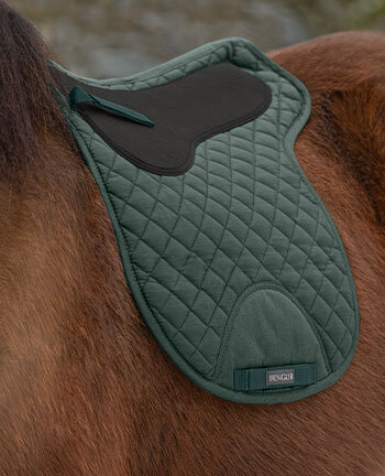 Selle islandesi & accessori