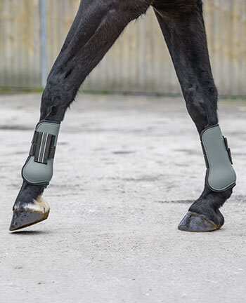 Fasce & stinchiere pony