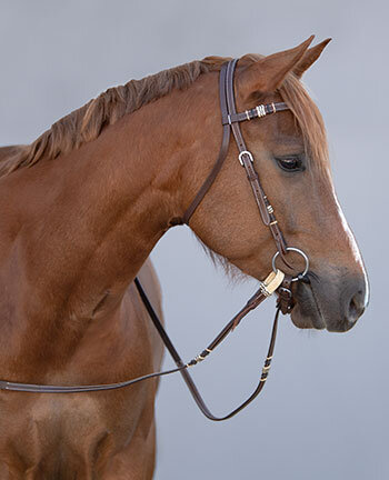 Testiere  western & accessori