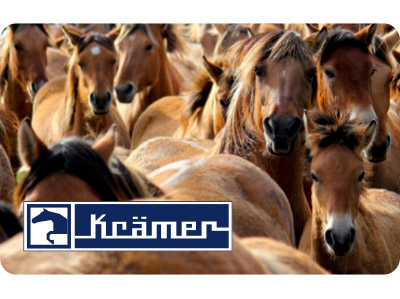 Viel-Kufer Rabatt