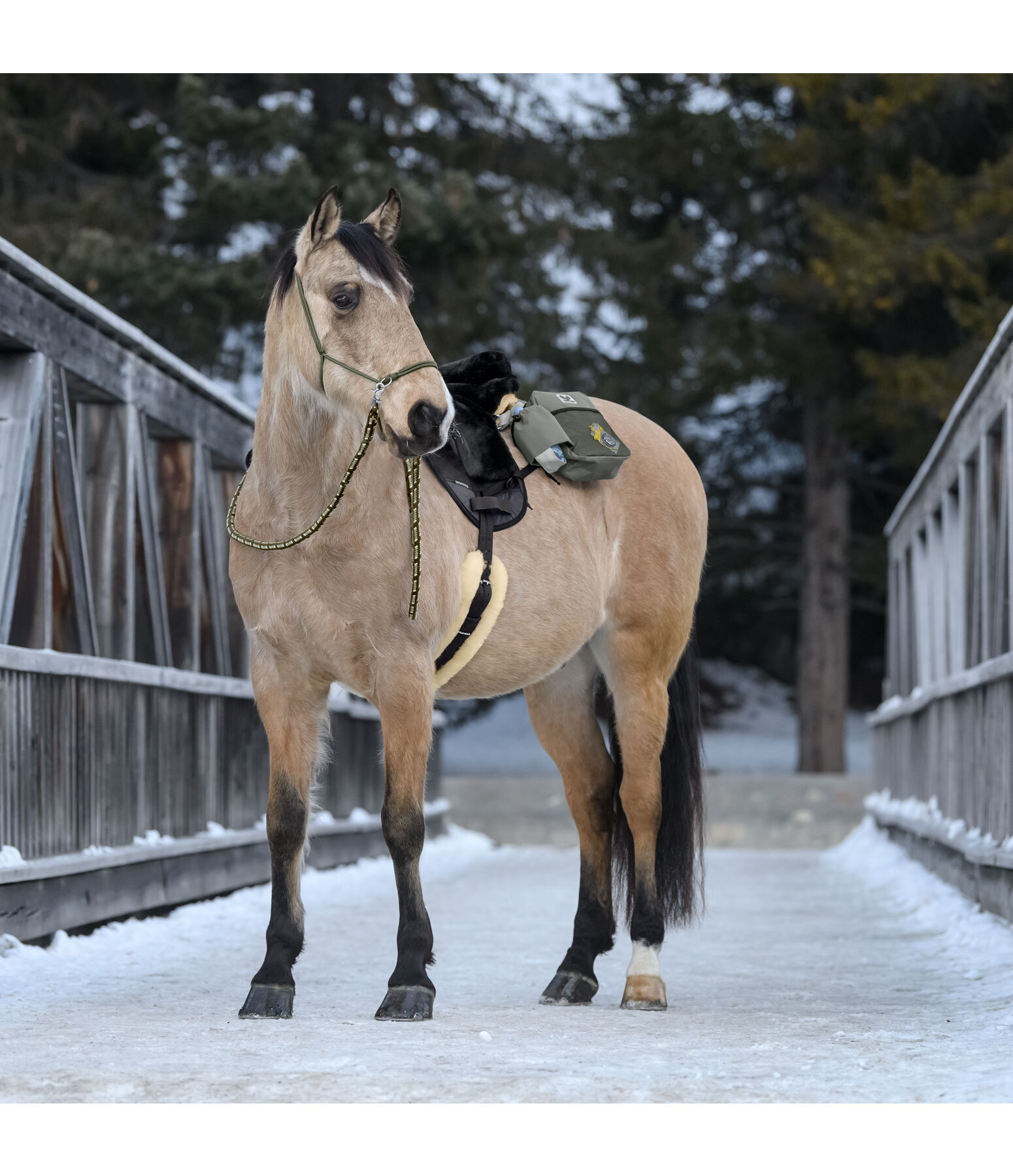 Redini in cotone Trail Riding