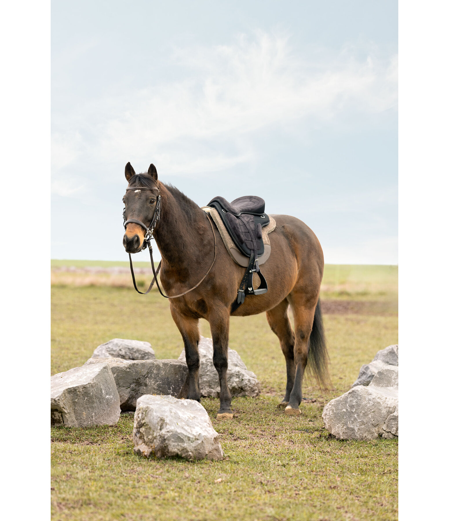 Sella Freemax Light